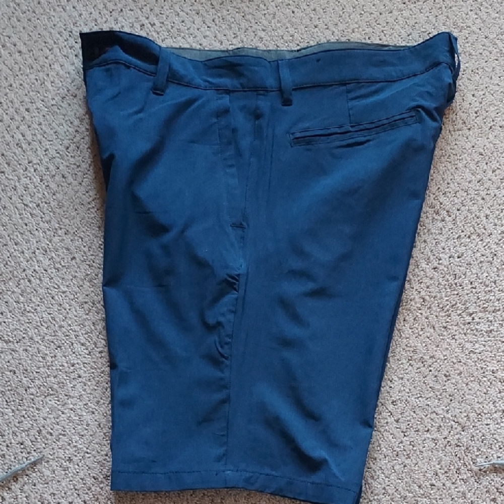 Burnside Blue Flat Front Lightweight Amphibious Shorts